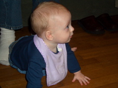CIMG2955.JPG